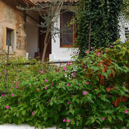 Old Garden-3